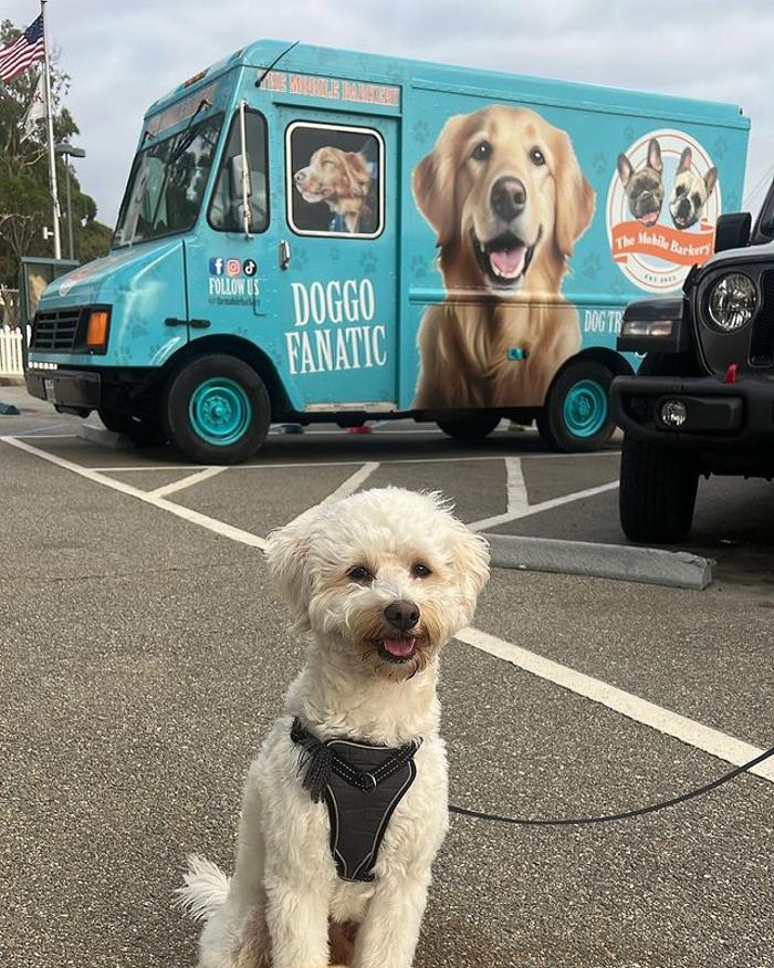 The Mobile Barkery Image