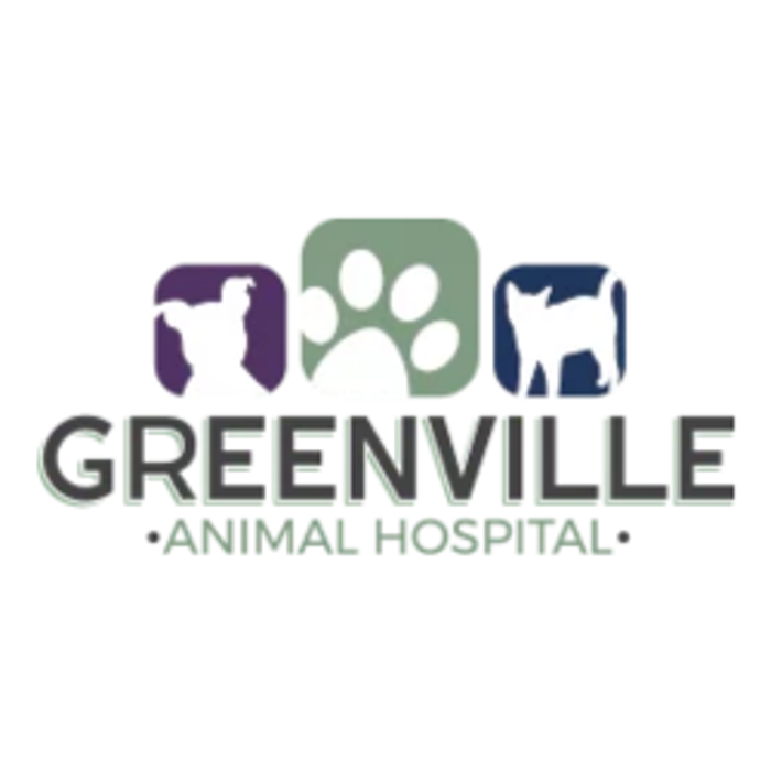 Greenville Animal Hospital
