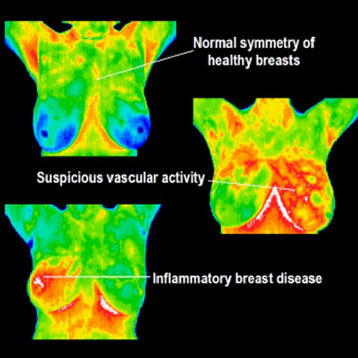Shores Wellness Solutions - Roseville, MI