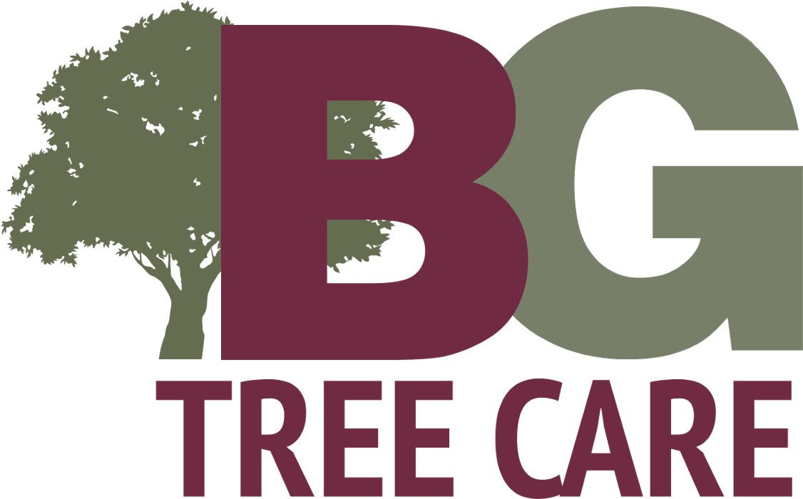B.G. Tree Care