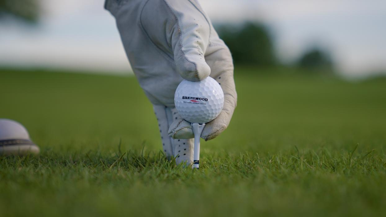 Brentwood Golf Club and Banquet Center - White Lake, MI