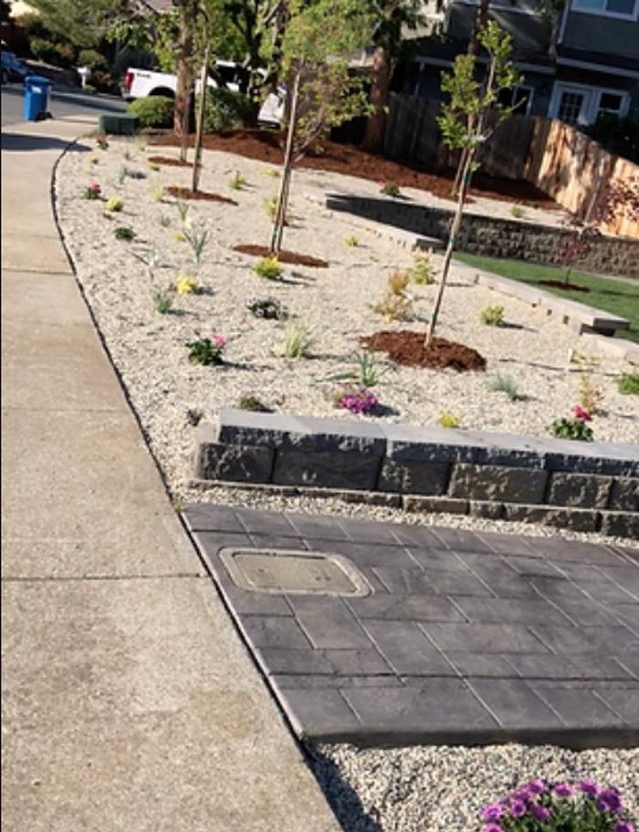 AHS Landscaping - Concord, CA