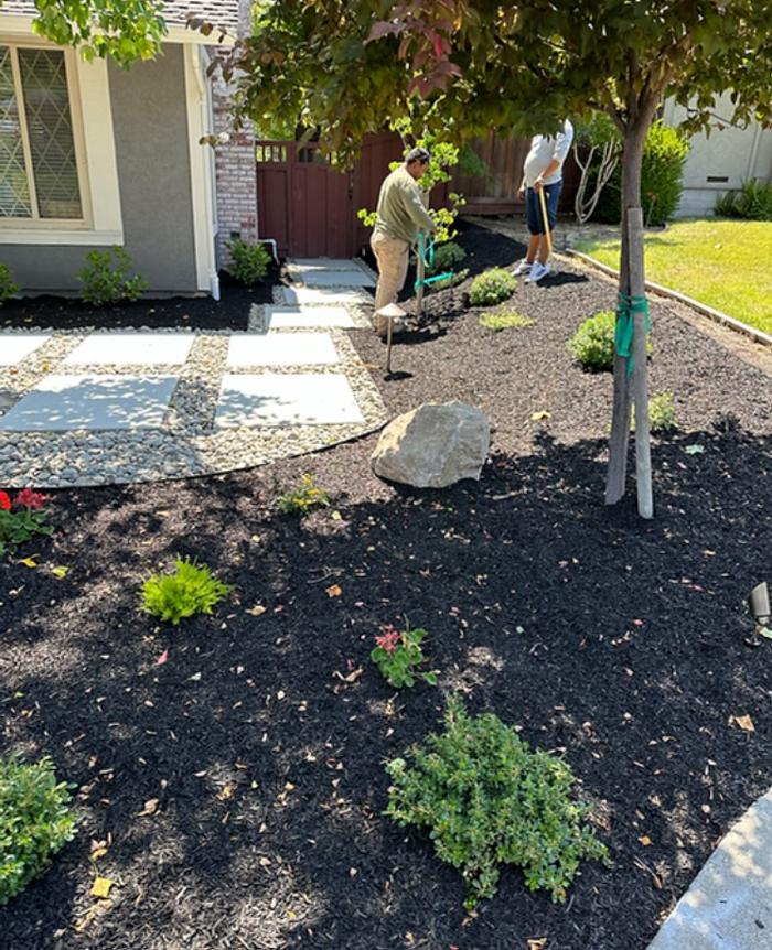 AHS Landscaping - Concord, CA