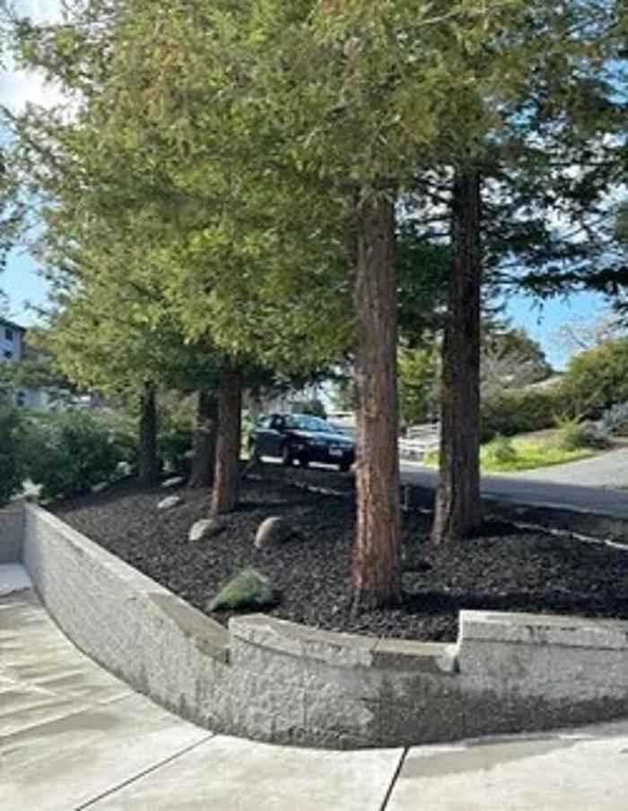 AHS Landscaping - Concord, CA