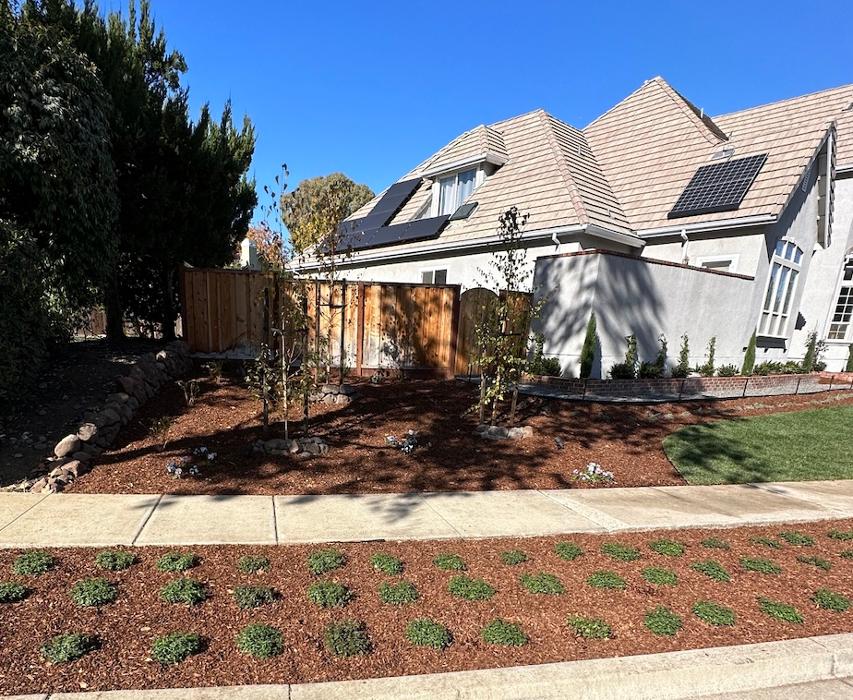 AHS Landscaping - Concord, CA