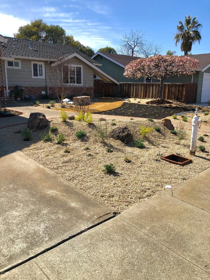 AHS Landscaping - Concord, CA
