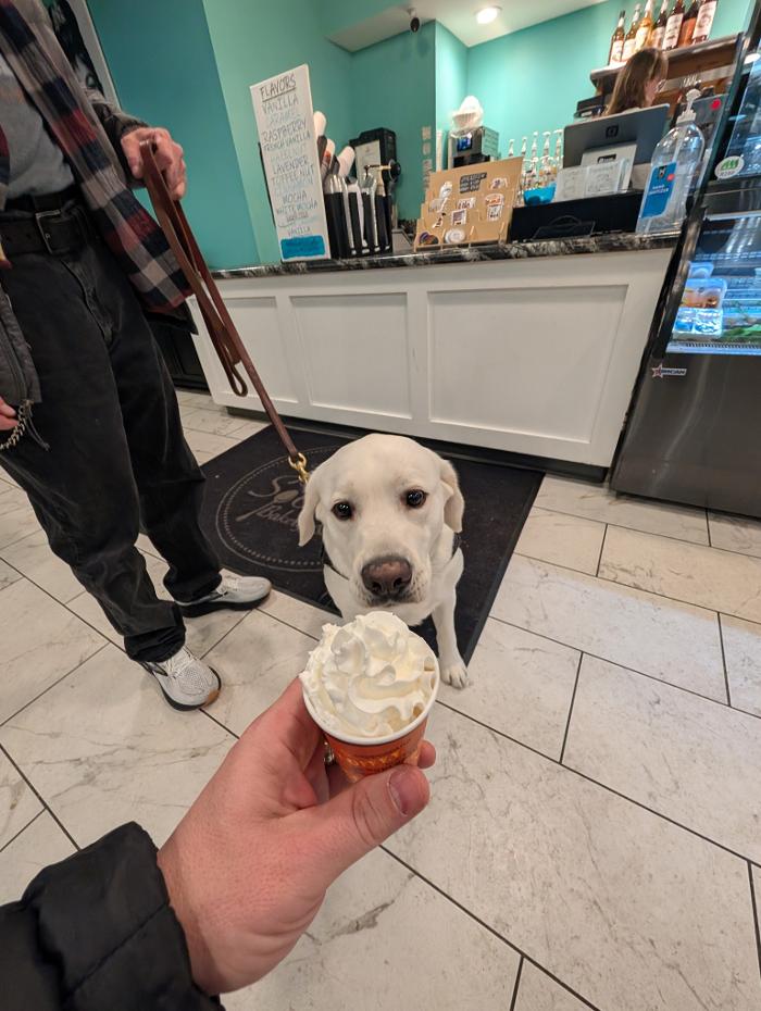 WMK9-Well Mannered K9 LLC Image