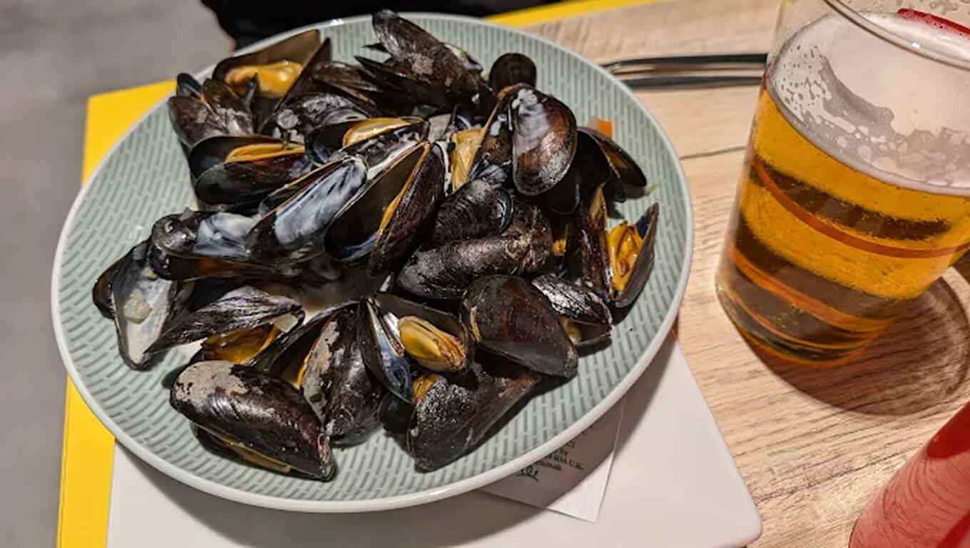 Miniature de la galerie