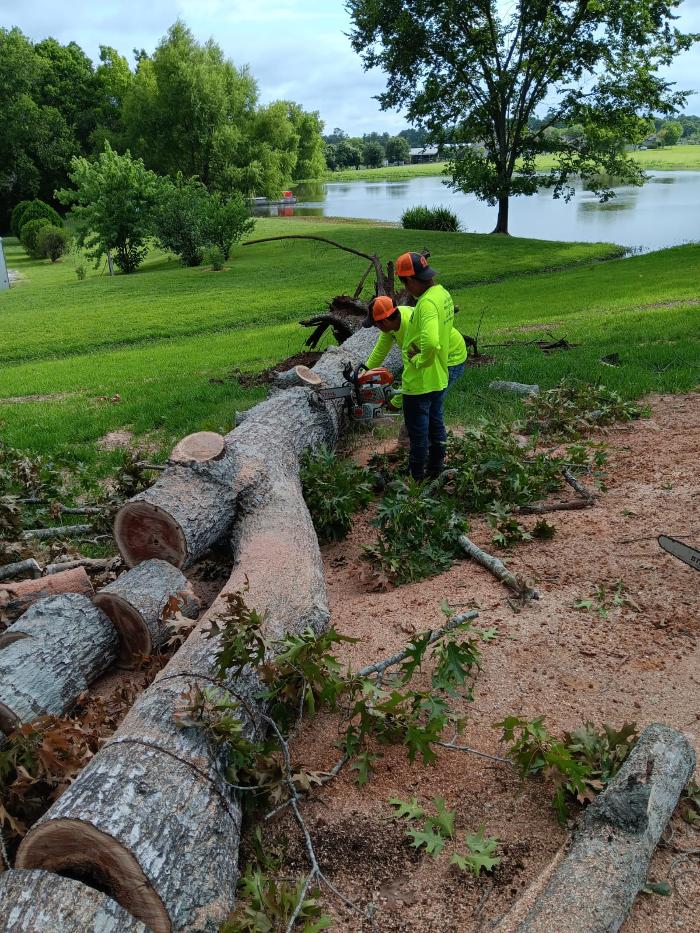 Texas Tree Masters - Katy, TX