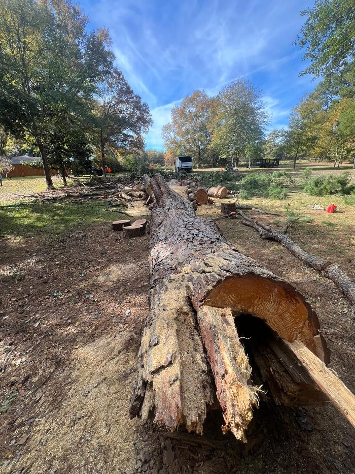 Texas Tree Masters - Katy, TX