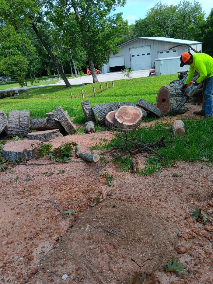 Texas Tree Masters - Katy, TX