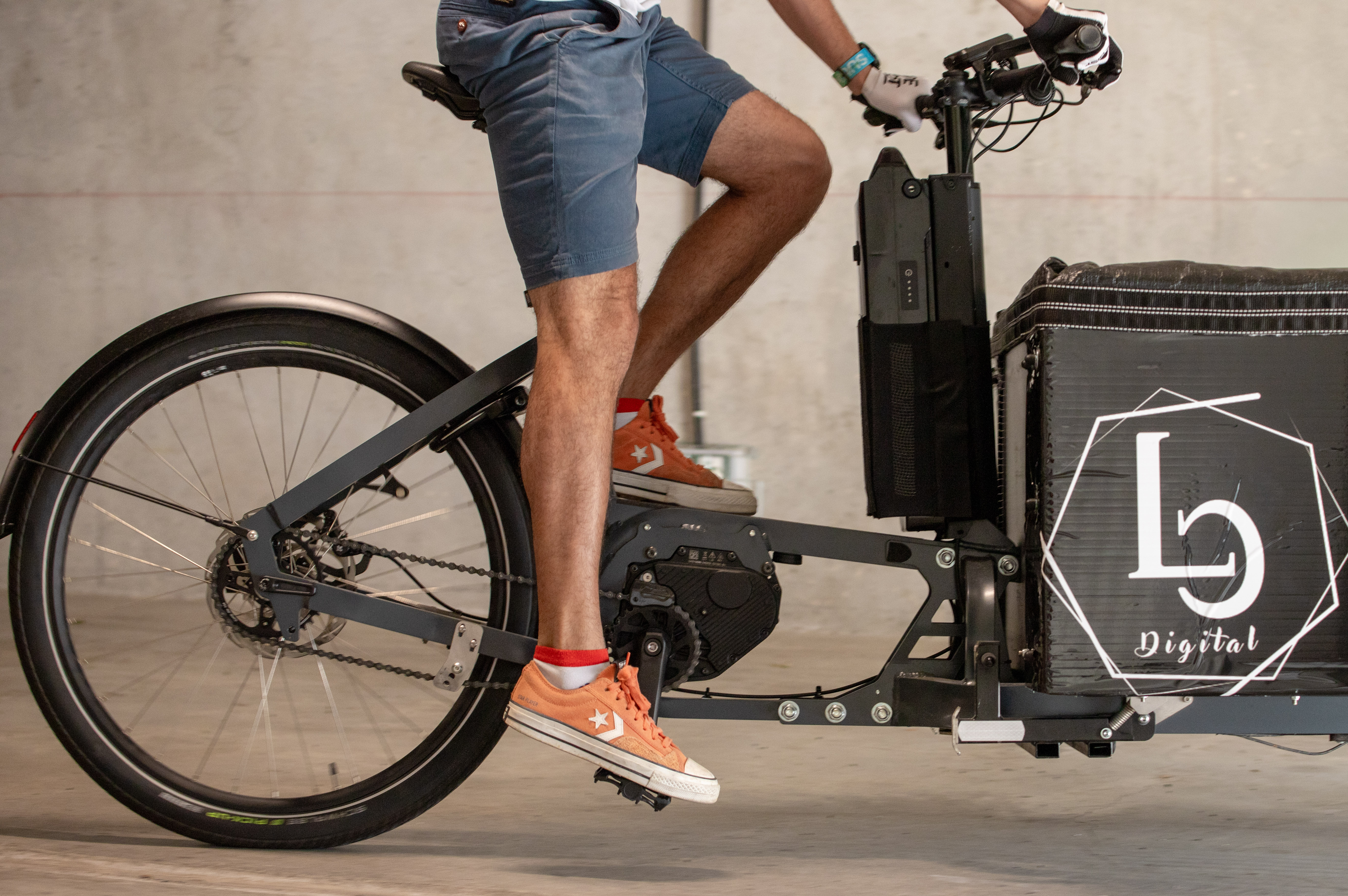 Miniature de la galerie