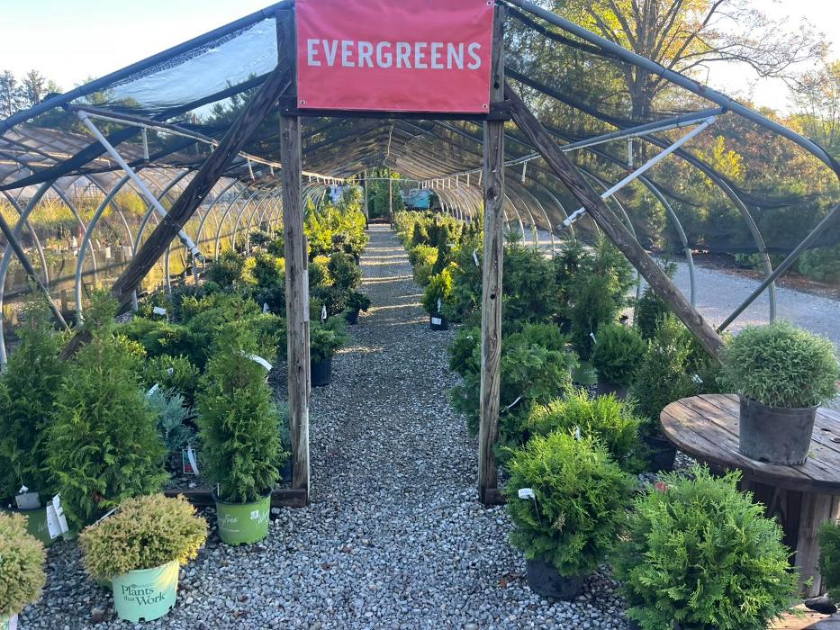 Bard Nurseries Inc. - Amelia, OH
