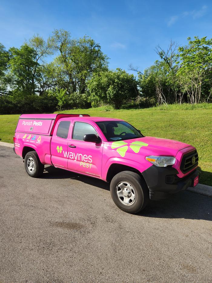 Waynes Pest Control - Antioch, TN