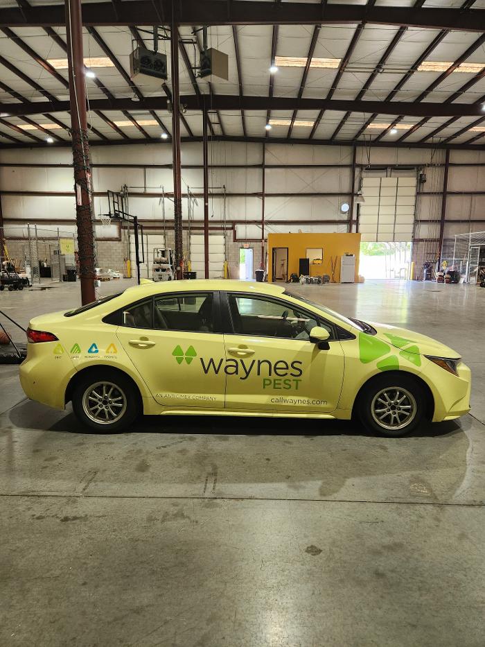 Waynes Pest Control - Antioch, TN