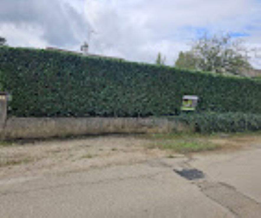 Satory Dylan jardinerie, végétaux et article de jardin (détail)