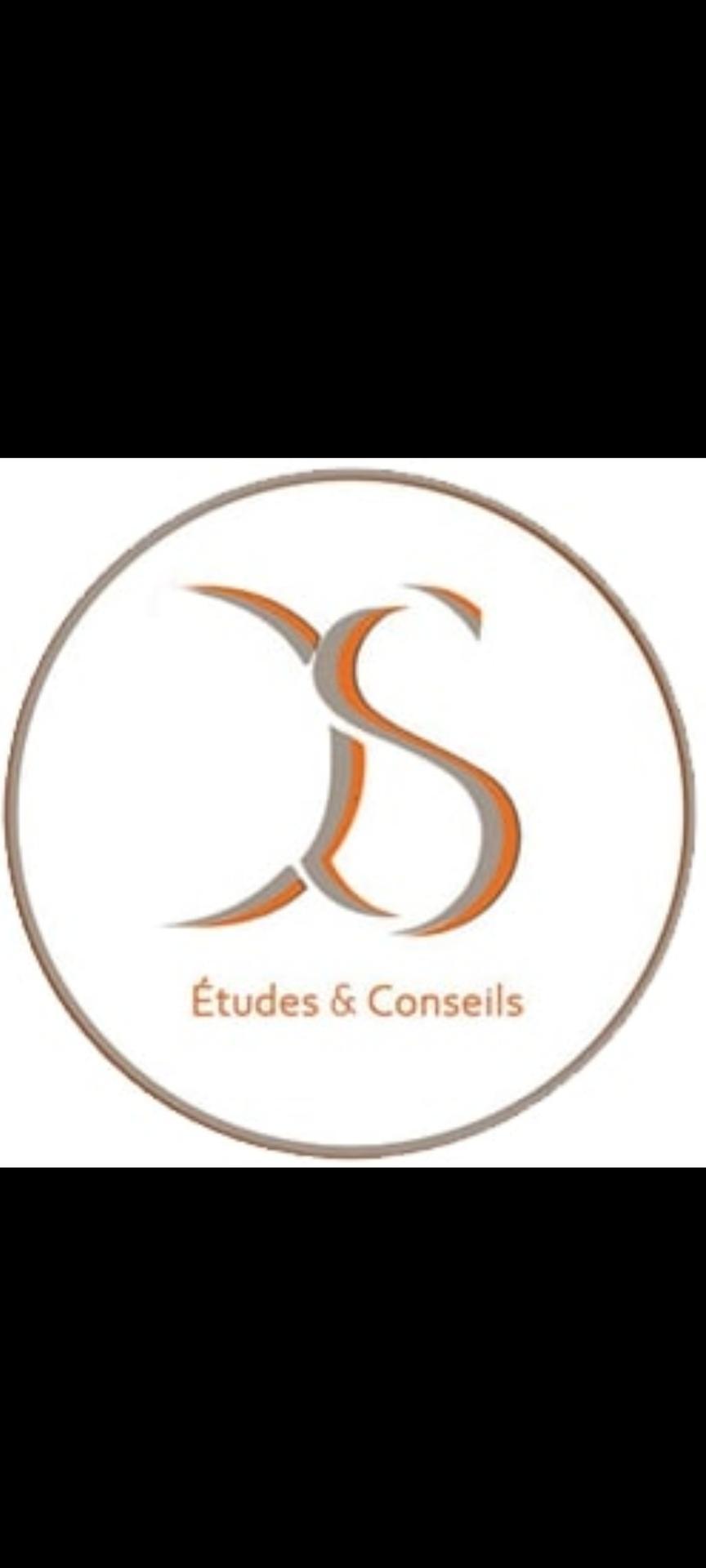 DS Etudes et Conseils Autres services