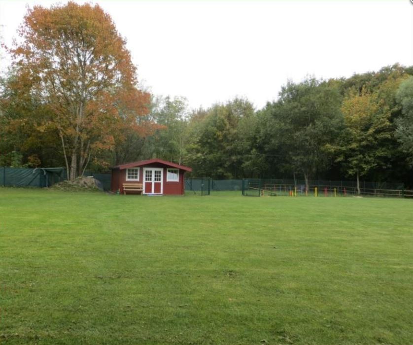 Hundeschule Amperland Ihre mobile Hundeschule bei FFB, Keckweg in Kottgeisering