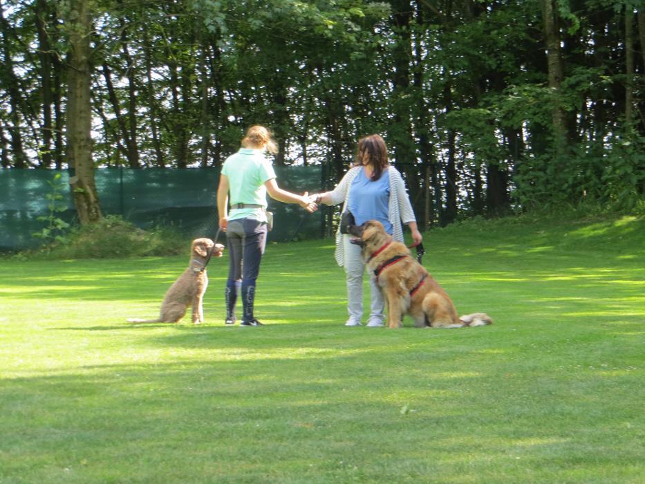 Hundeschule Amperland Ihre mobile Hundeschule bei FFB, Keckweg in Kottgeisering