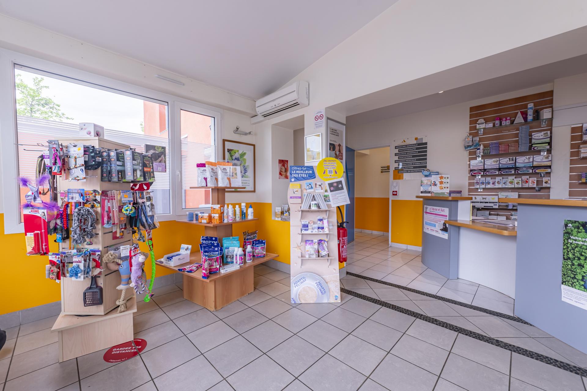 galerie image