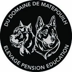 Mirella Manole élevage de chiens, de chats