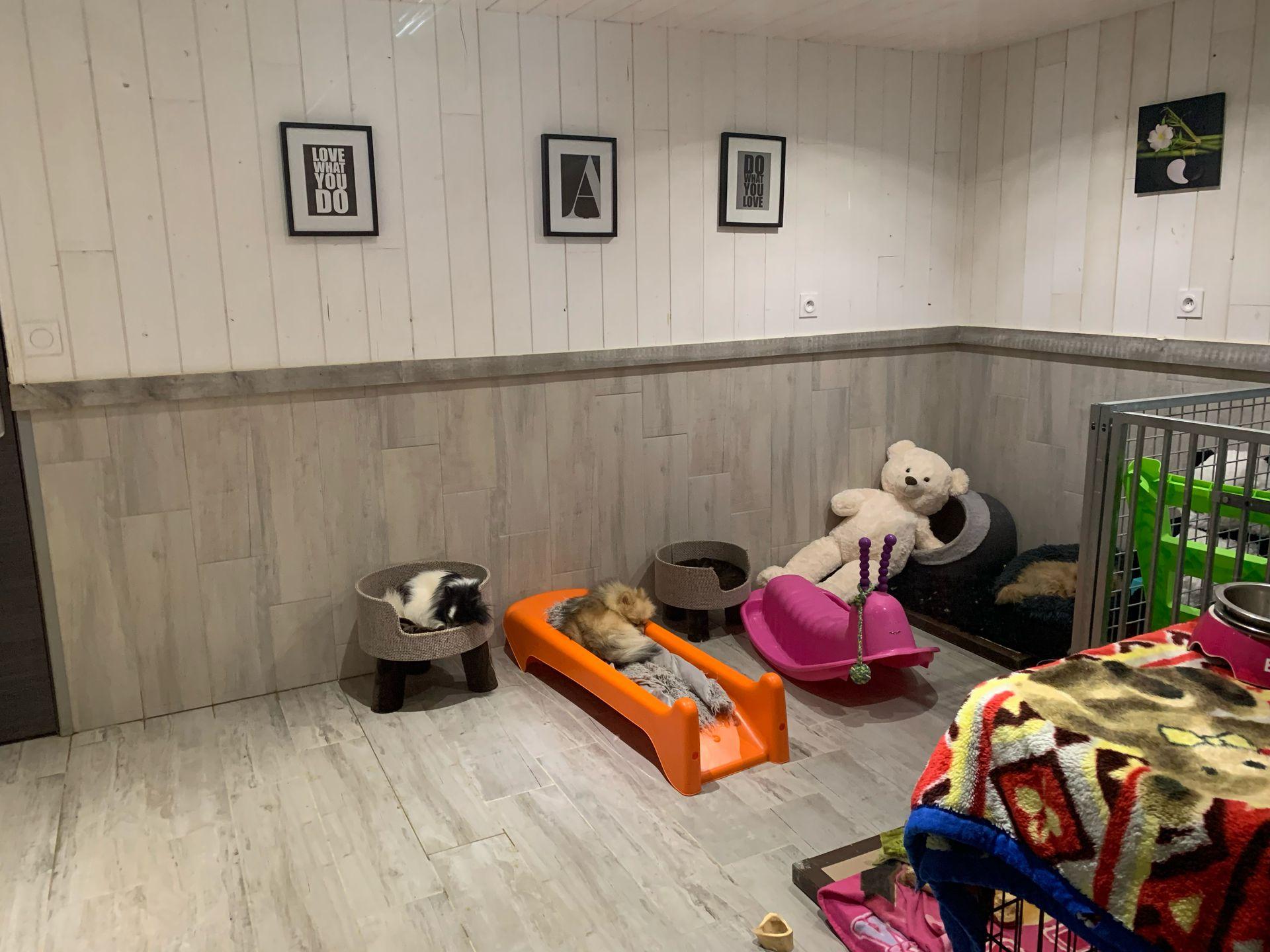 galerie image