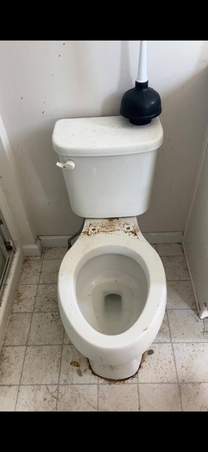 Professional Cleaning by Jamie - Amelia, OH