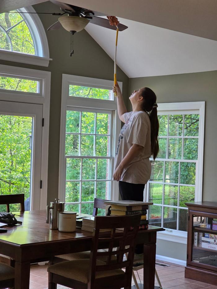 Professional Cleaning by Jamie - Amelia, OH