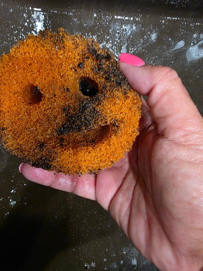 Professional Cleaning by Jamie - Amelia, OH