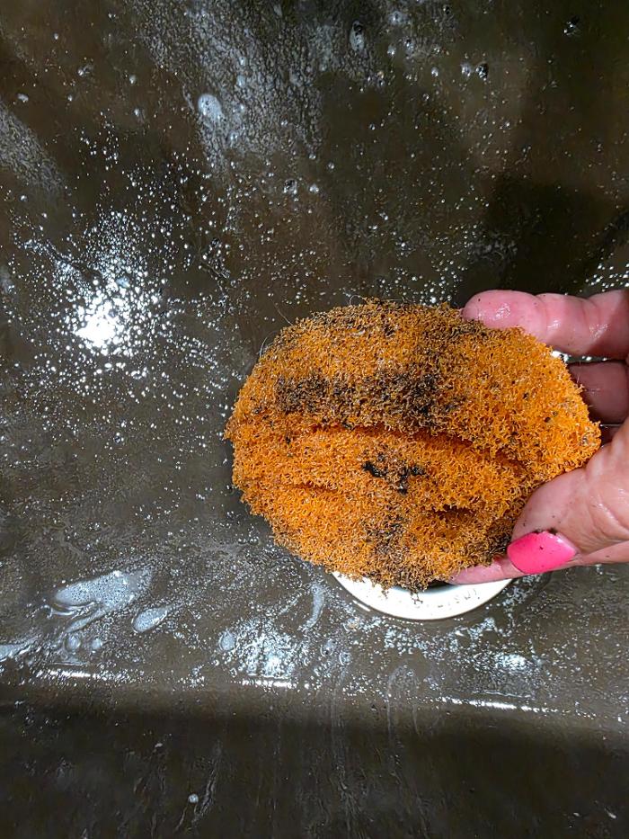 Professional Cleaning by Jamie - Amelia, OH