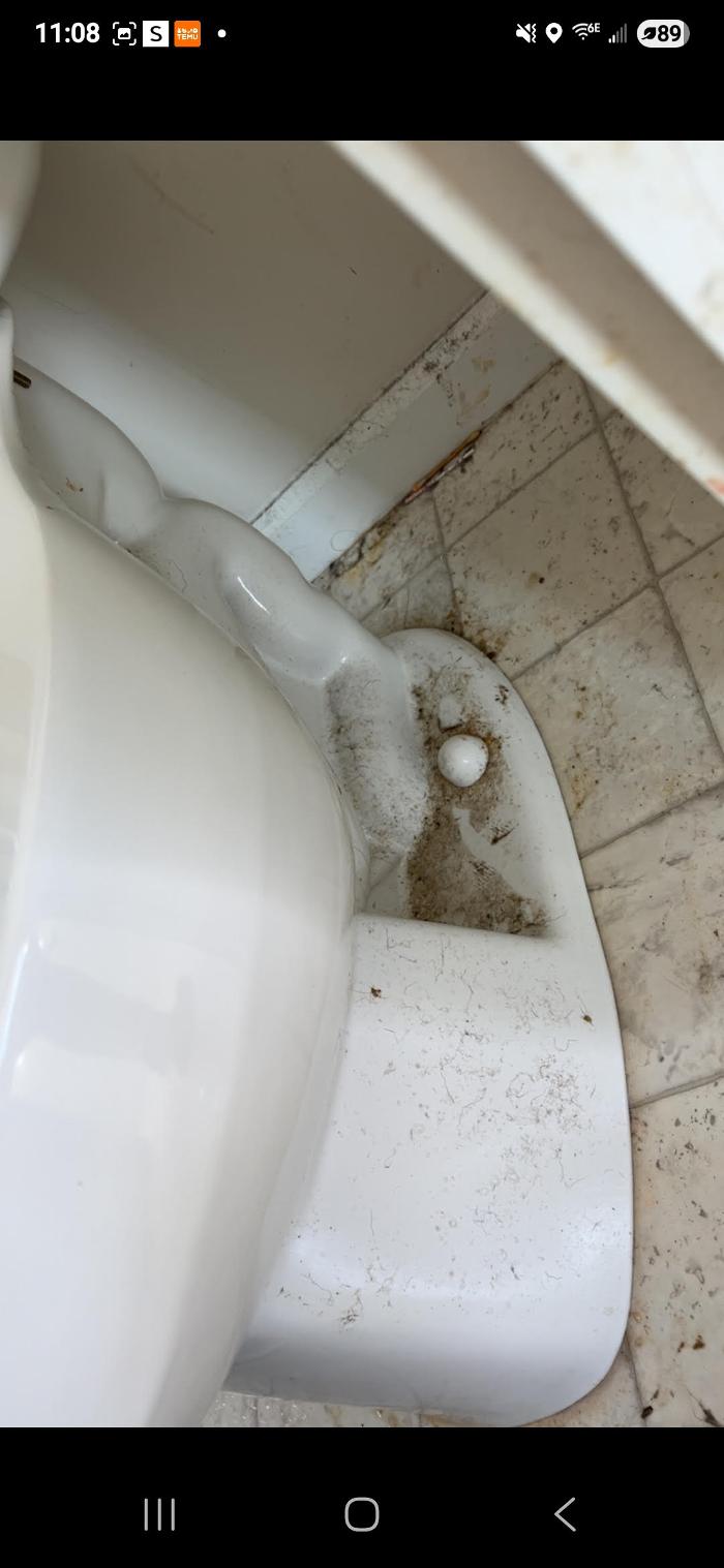 Professional Cleaning by Jamie - Amelia, OH