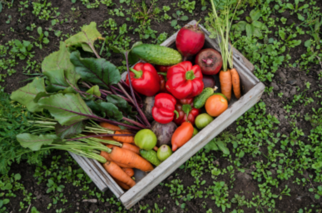 Home Grown Farm and Ranch - Dripping Springs, TX