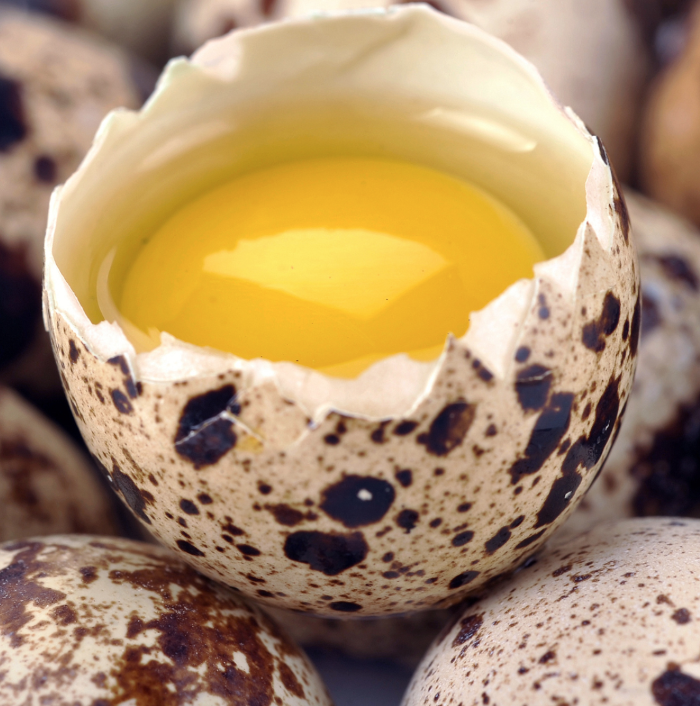 Home Grown Farm and Ranch - Dripping Springs, TX