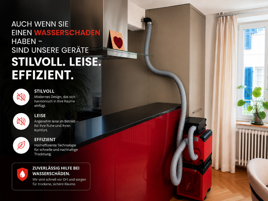 Trocktech AG Entfeuchtungstechnik Olten - Wasserschadensanierung, Bautrocknung, Dornacherstrasse in Olten