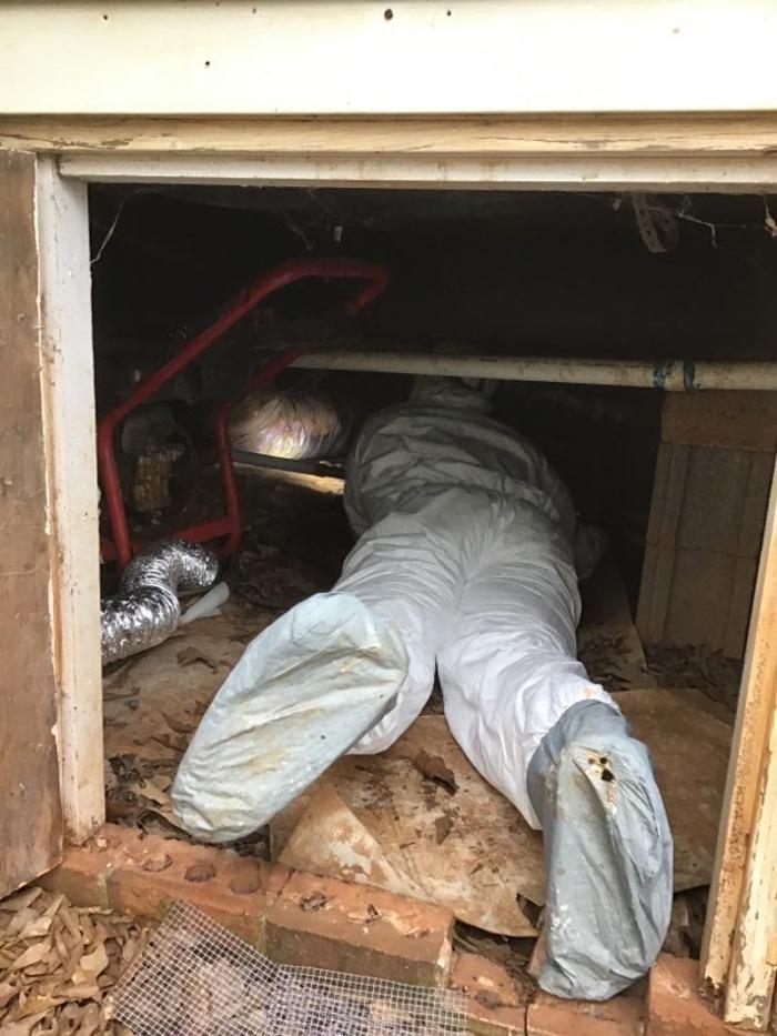 Critter Control of Athens - Athens, GA