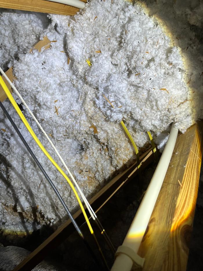 Critter Control - Tallahassee, FL