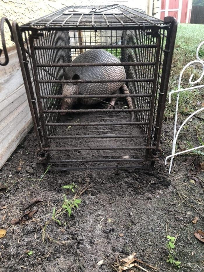 Critter Control - Tallahassee, FL