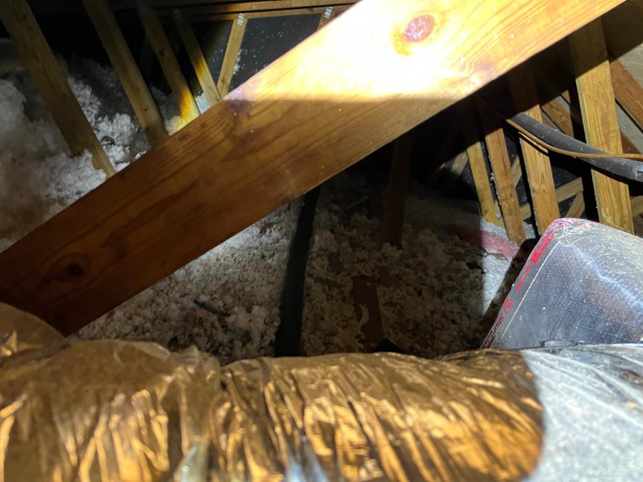 Critter Control - Tallahassee, FL