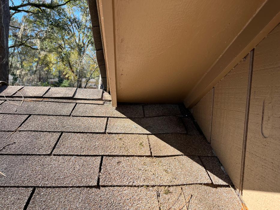 Critter Control - Tallahassee, FL