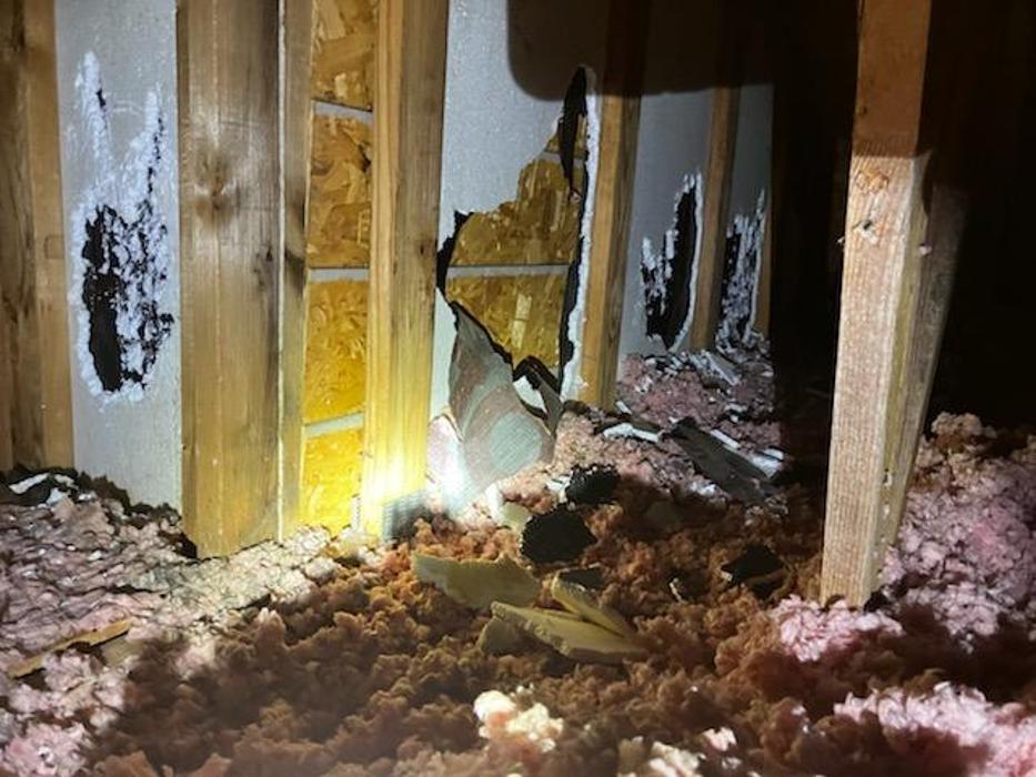 Critter Control - Buford, GA