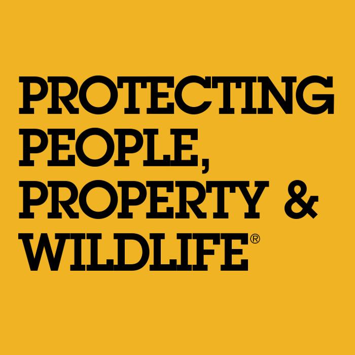 Critter Control - Buford, GA