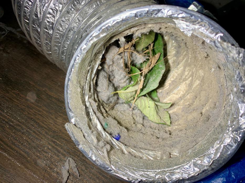 HomeSmiles DMV Image