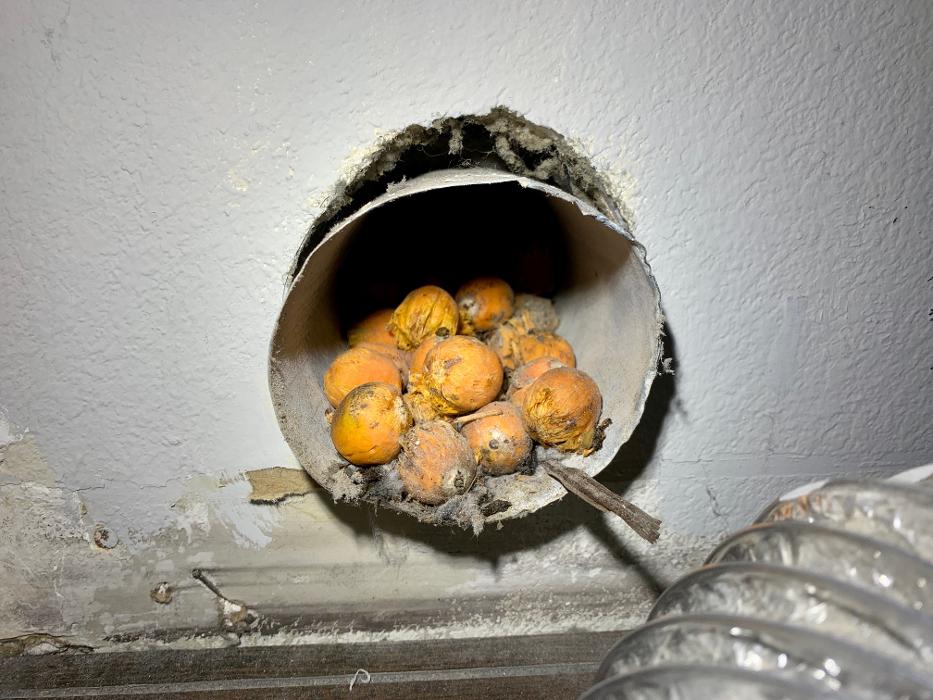 HomeSmiles DMV Image