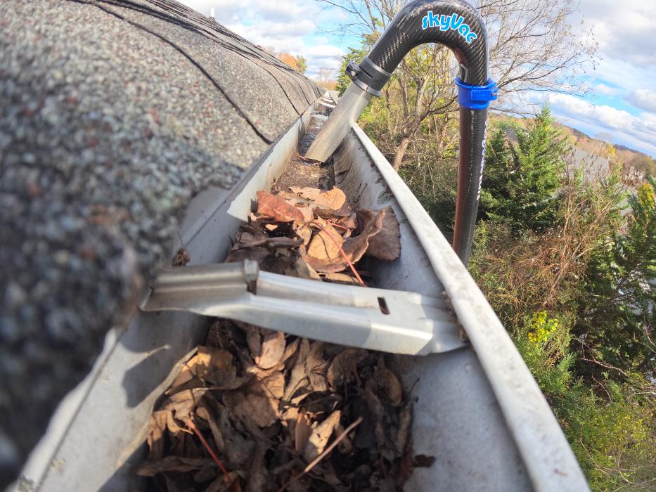 HomeSmiles DMV Image