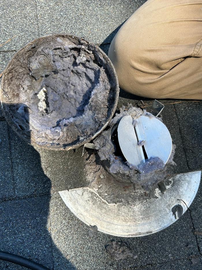 HomeSmiles DMV Image