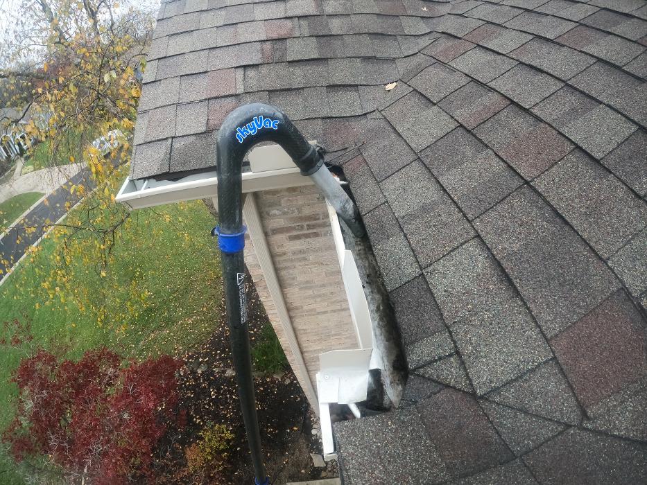 HomeSmiles DMV Image