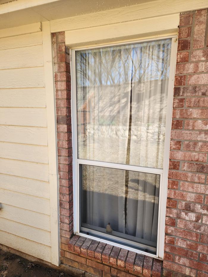 HomeSmiles Springdale - Springdale, AR