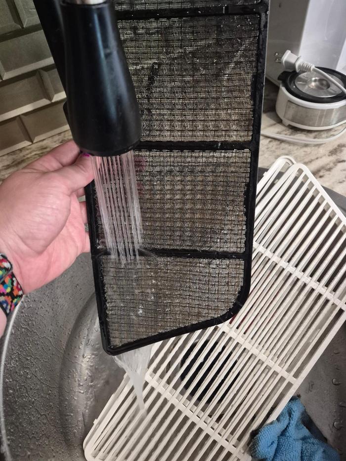 Eucalyptus Cleaning Lock - Bremen, GA