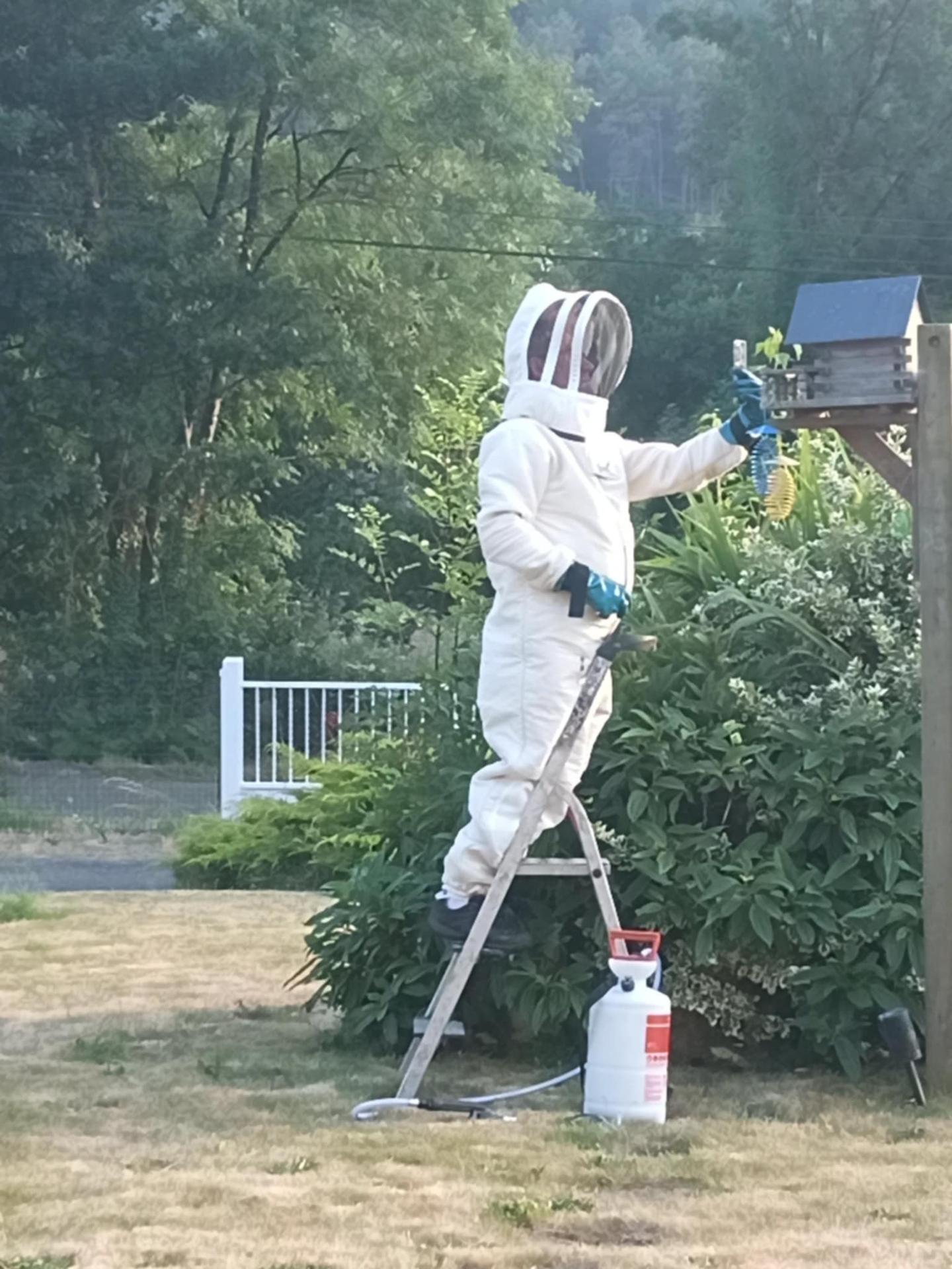 Trébosc Nuisibles Ramonages ramonage