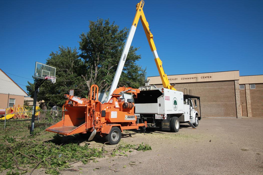 Arborlogical - SavATree - Amarillo, TX
